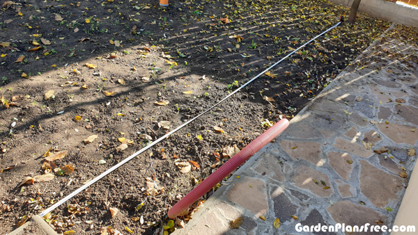 Laying-out-the-Thuja-trees