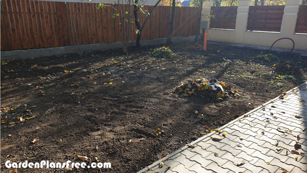 Cleaning-the-leaves-of-the-soil